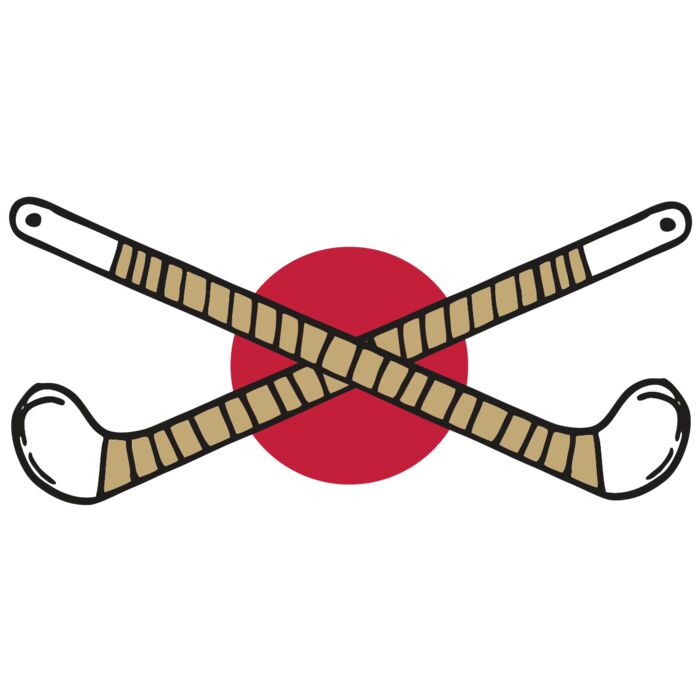 AR FHOCKEY 10 RC Thumbnail