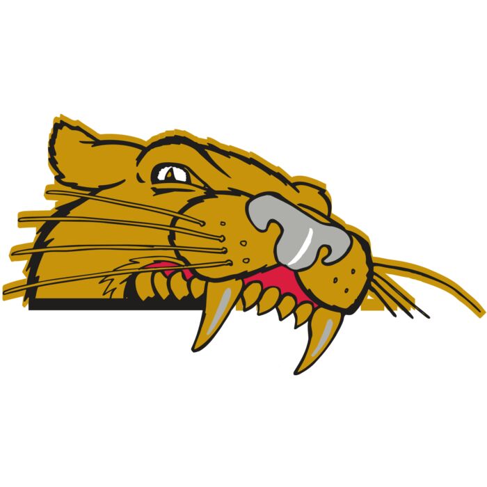 AR COUGAR 73 RC Thumbnail