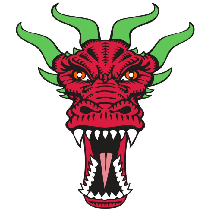 BAW DRAGON 09 RC Thumbnail