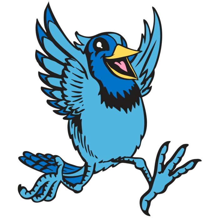 BAW BLUEJAY 09 RC Thumbnail