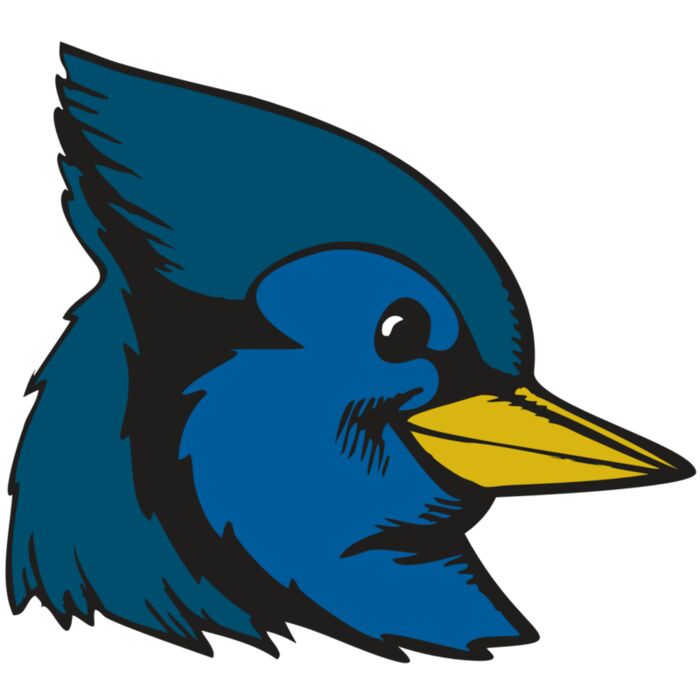 BAW BLUEJAY 07 RC Thumbnail