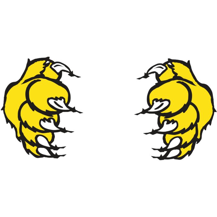 AR5 BOBCAT 03 RQC Thumbnail