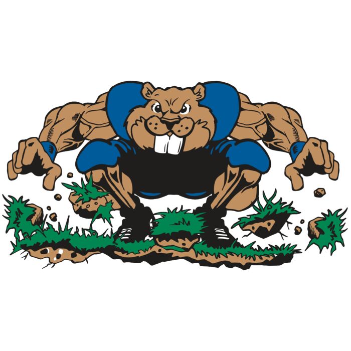 AR14 BEAVER FBLL 04 RQC Thumbnail