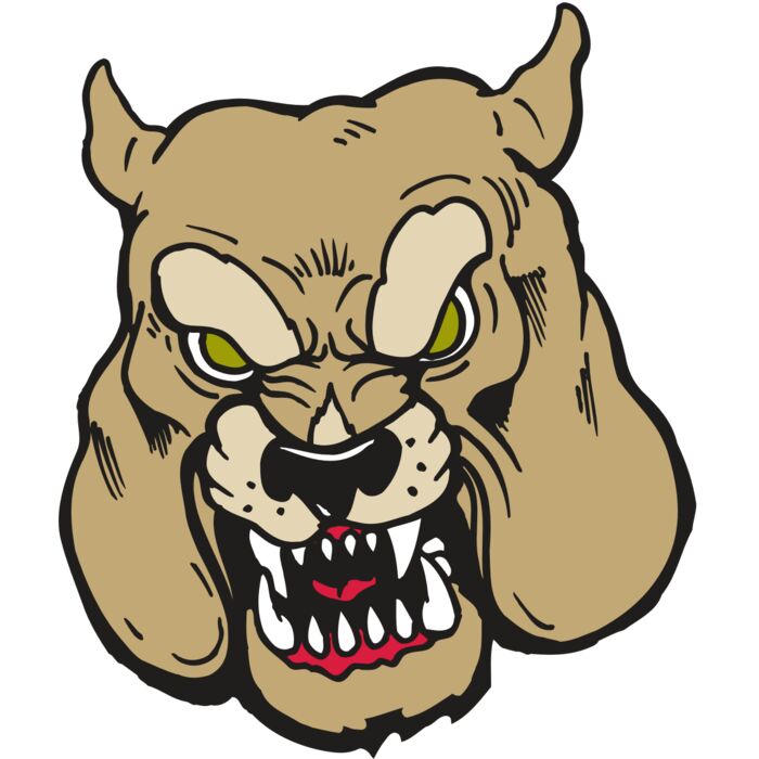 AR5 Bulldog 25 RQC Thumbnail