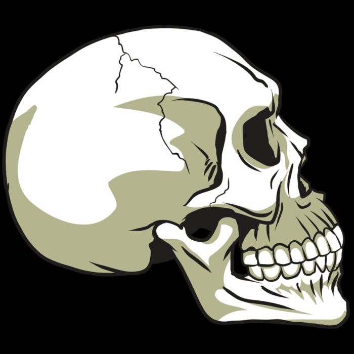 AR24 SKULL 12 RQC Thumbnail