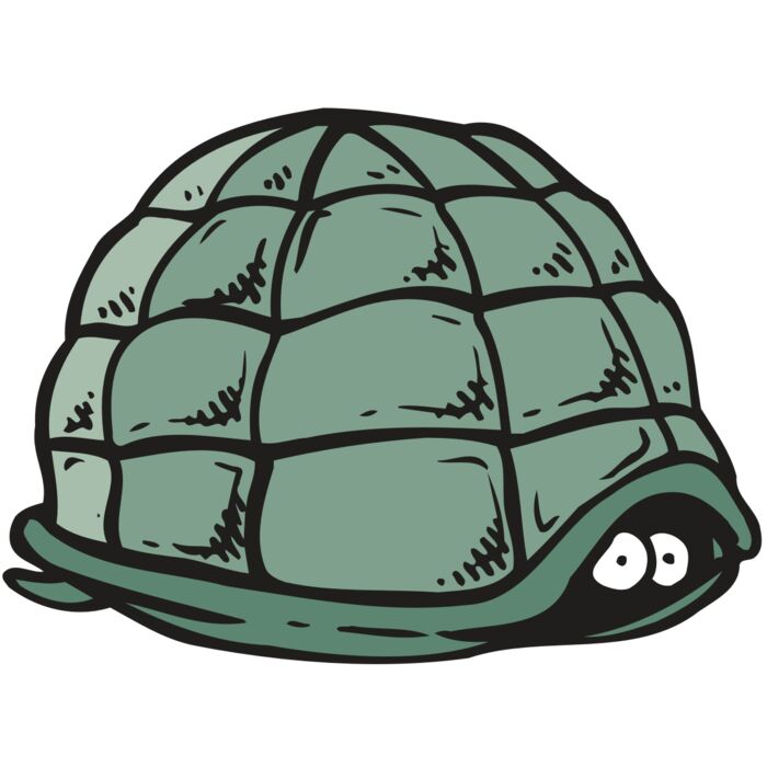 AR5 Turtle 10 RQC Thumbnail