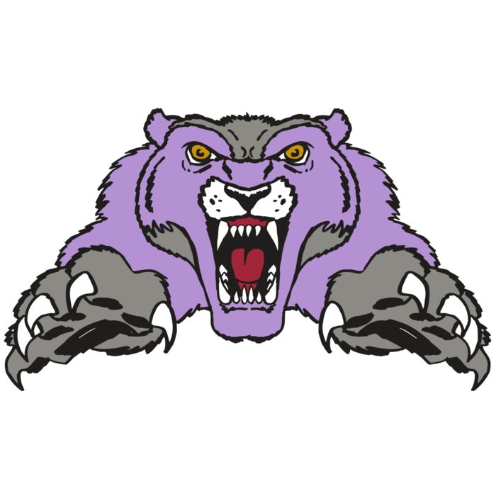 AR WOLVERINE 17 RC Thumbnail