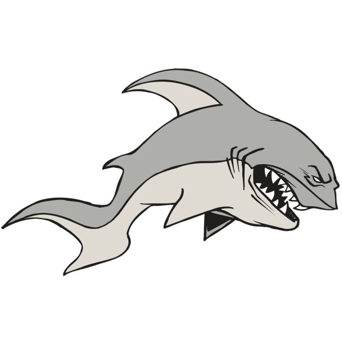 AR5 Shark 10 RQC Thumbnail