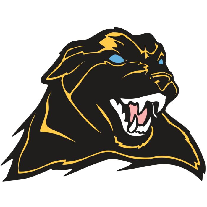 AR COUGAR 42 RC Thumbnail