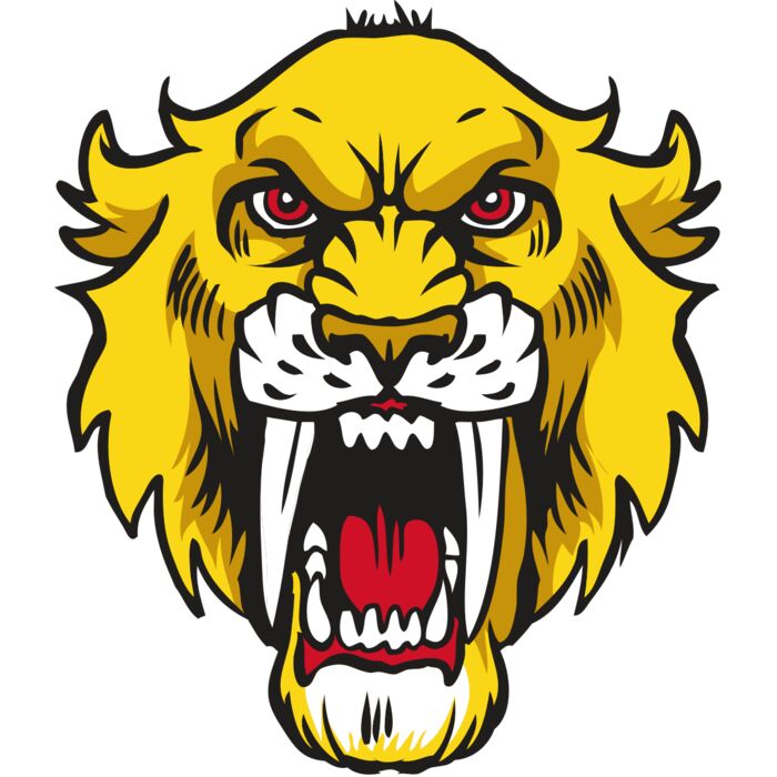 AR30 SABER 06 RQC Thumbnail