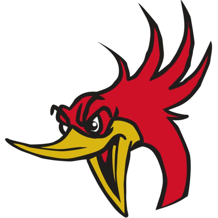 AR31 ROADRUNNER 02 RQC Thumbnail