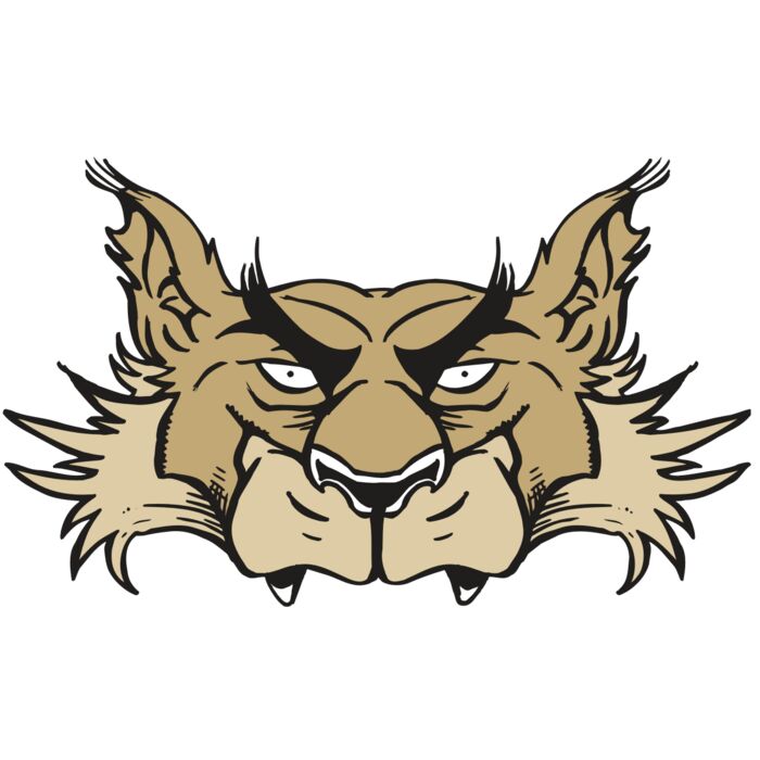 AR5 Wolf 28 RQC Thumbnail