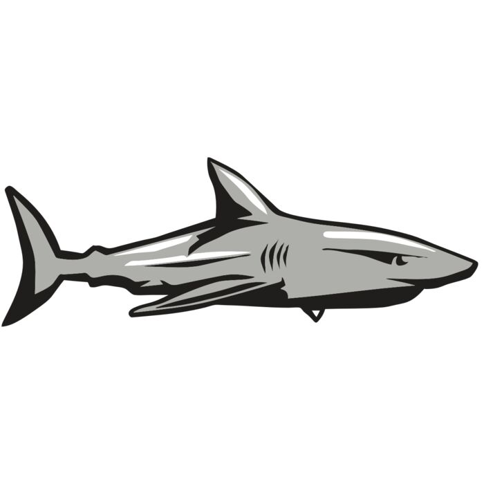 AR9 SHARK 01 RQC Thumbnail