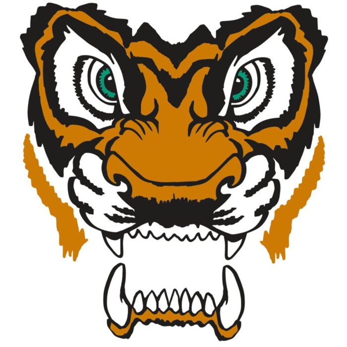 AR TIGER 11 RC Thumbnail