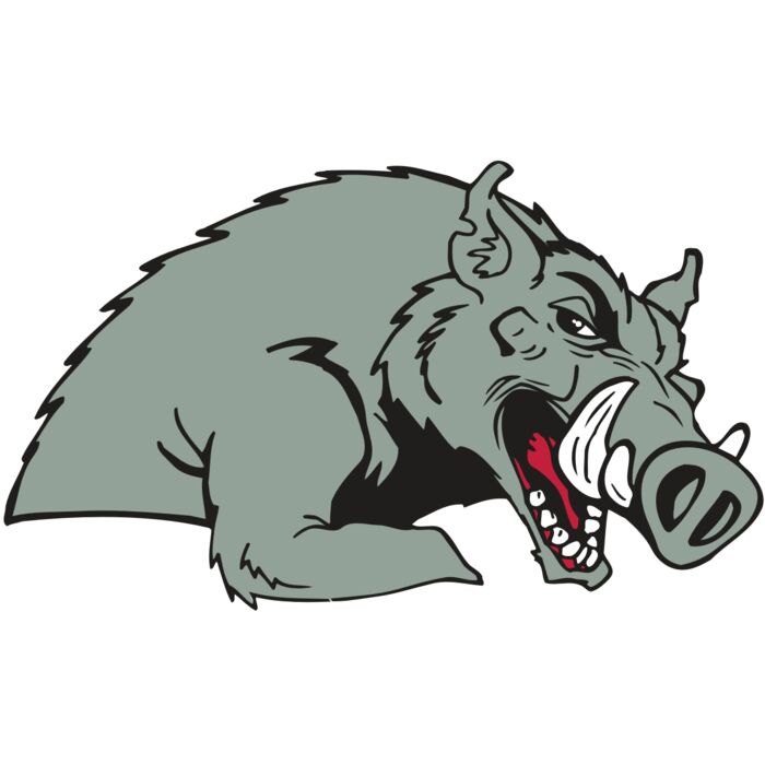 AR RAZORBACK 14 RC Thumbnail