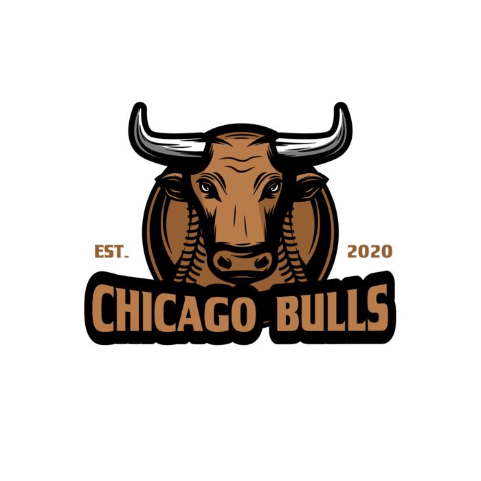 Baseball Logo Team 13 Thumbnail