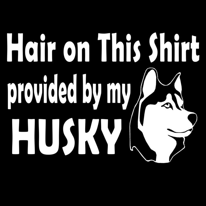 05 hair husky copy Thumbnail