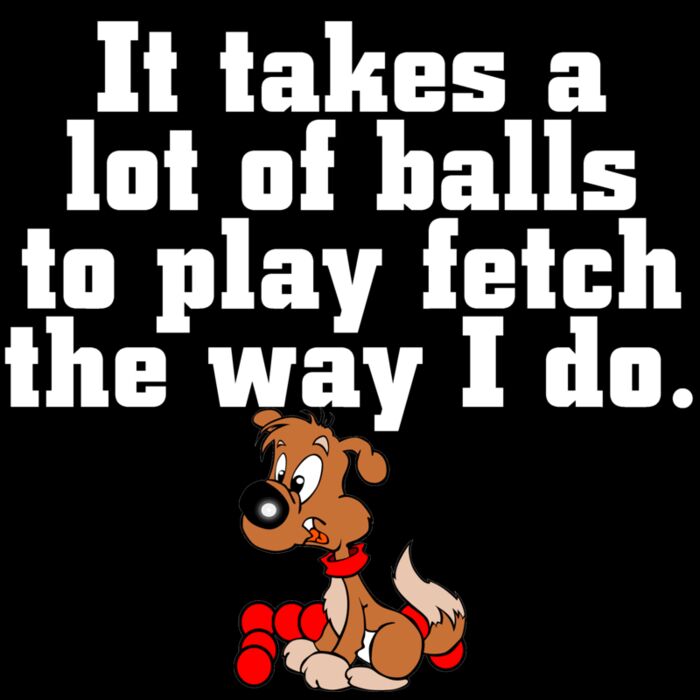 DOG  09 a lot of balls white Thumbnail