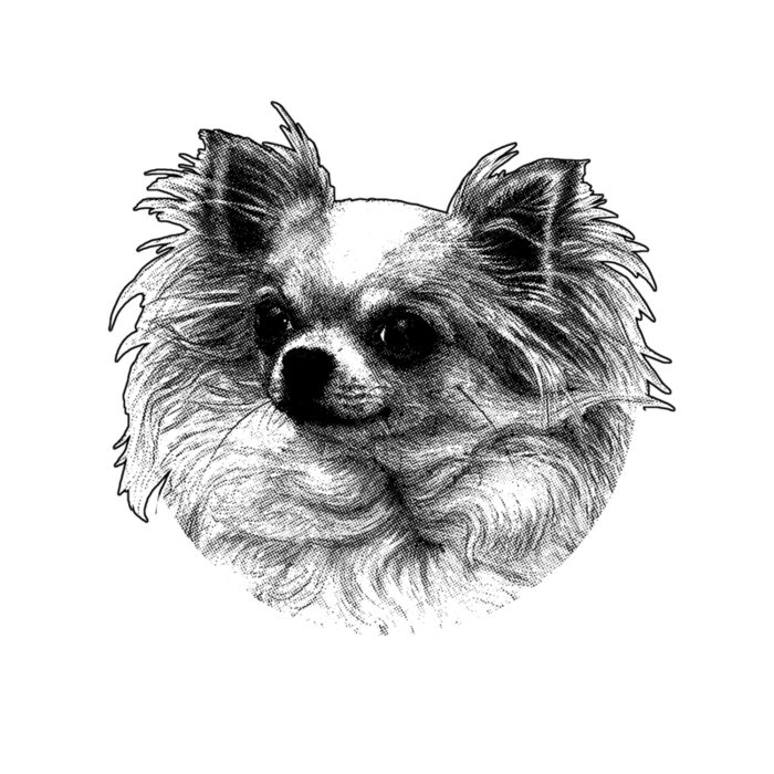 03  Neighborhood watch Thumbnail