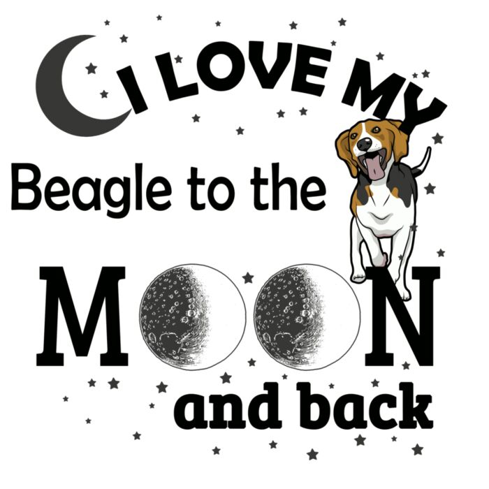 05 i love my Beagle black Thumbnail
