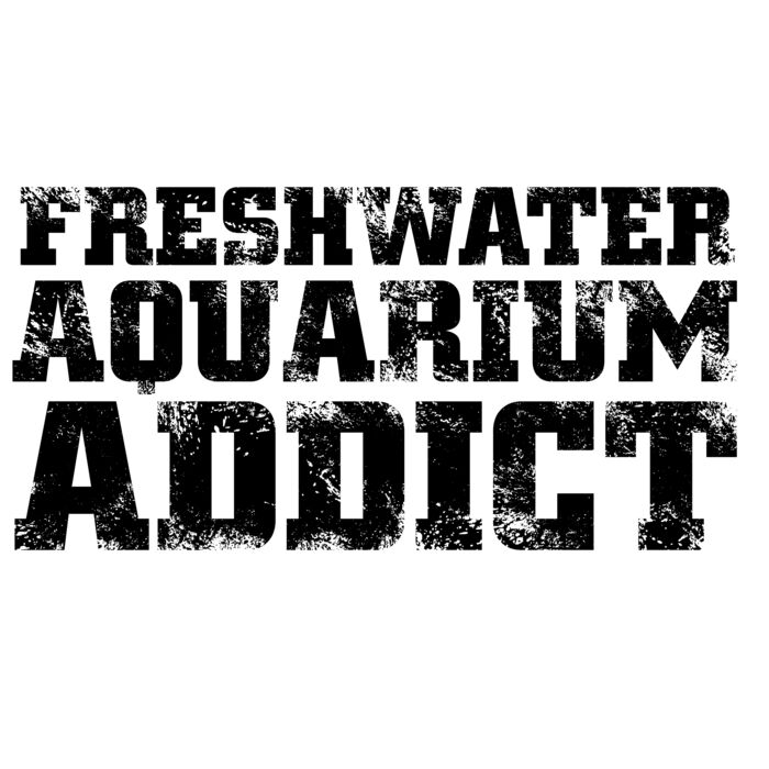 09 freshwater aquarium addict copy Thumbnail