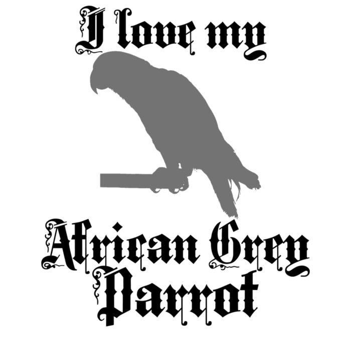 01 african grey parrot copy Thumbnail
