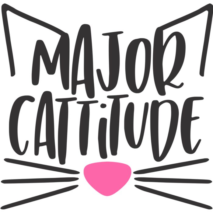 major cattitude Thumbnail