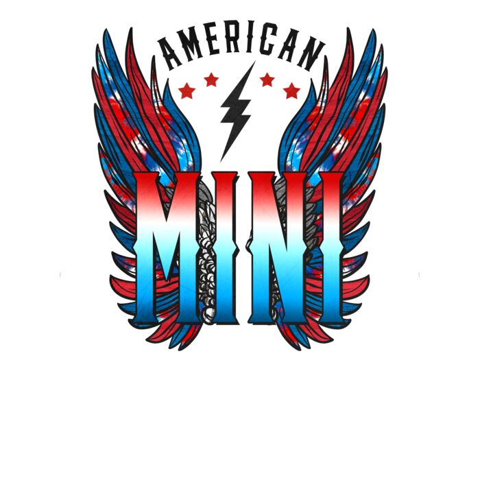 American Mini Wings Youth T Shirt Thumbnail