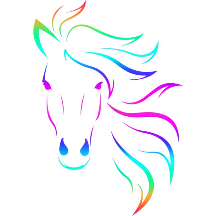 Horse Lovers Horseback Riding Equestrian Colorful T Shirt Thumbnail