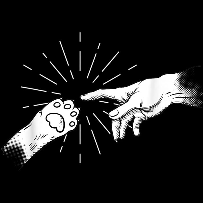 Creation of Cat   Funny Cat Lover Gift T Shirt Thumbnail