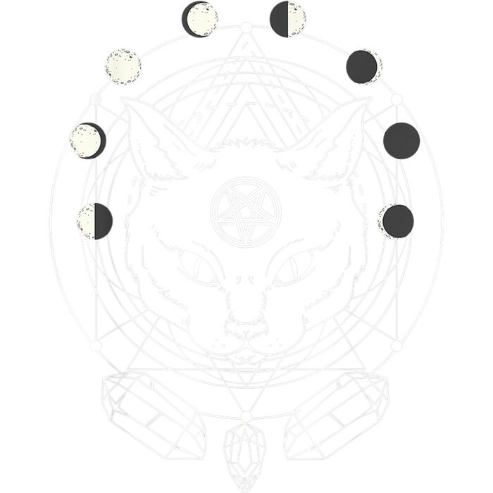 Moon Phases Cat Pagan Witch Wicca Wiccan Shirt for Women T Shirt 1 Thumbnail