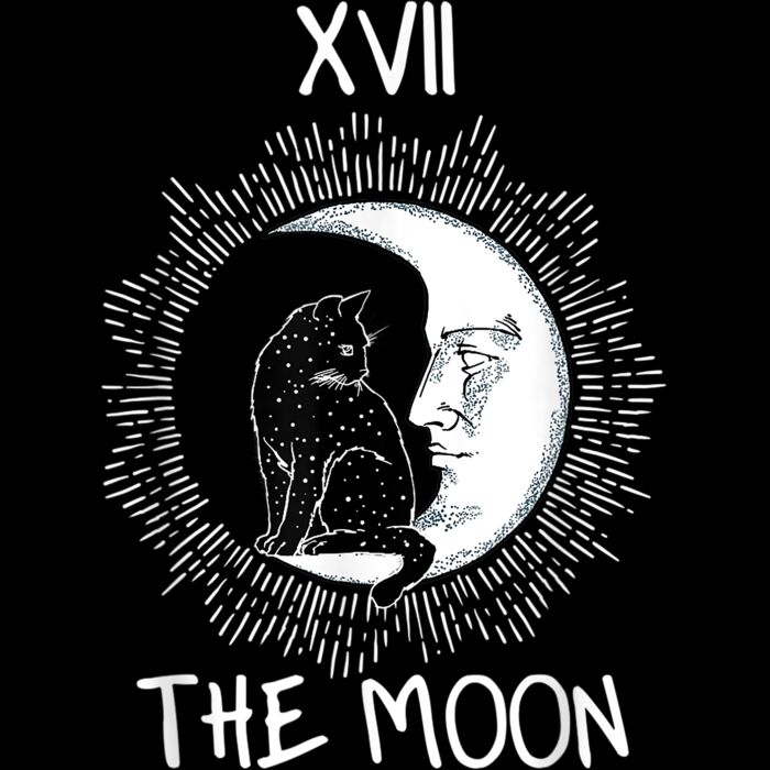 Tarot Card Crescent Moon And Cat Graphic jersey T Shirt Thumbnail