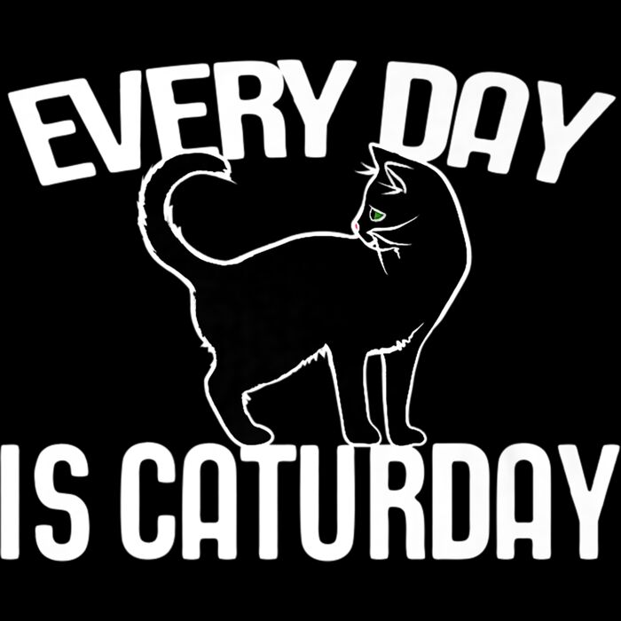 Every Day is Caturday black cat art cat people Premium T Shirt Thumbnail