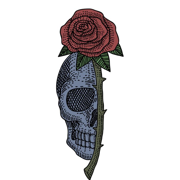 skull rose Thumbnail