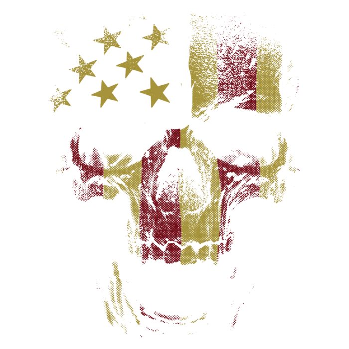 distressed usa skull Thumbnail