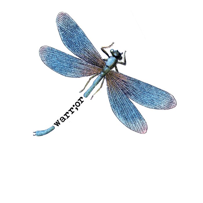 Warrior Dragonfly Thumbnail