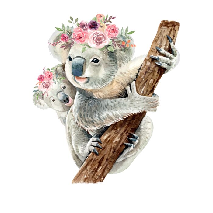 FLORAL KOALA Thumbnail