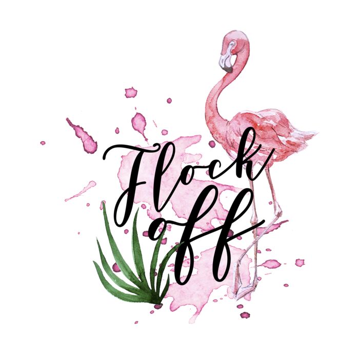 FLOCK OFF Thumbnail