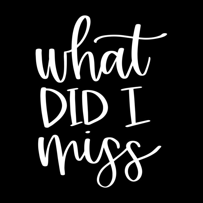 What did I miss Thumbnail