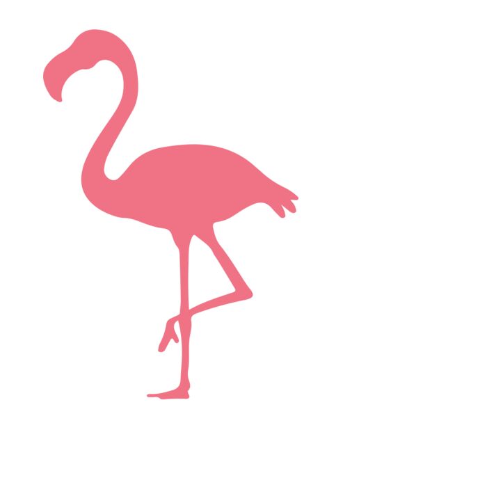 I DON T GIVE A FLOCK Thumbnail